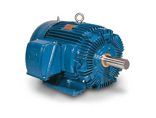 Protezione cuscinetti Flowserve per motori elettrici 3T Turian